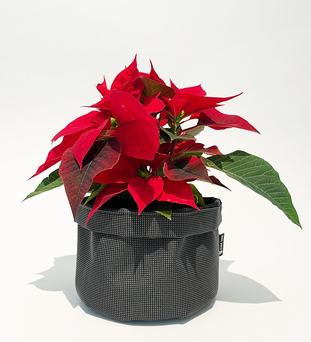 Blumenpötte im Doppelpack | Anthrazit Mesh