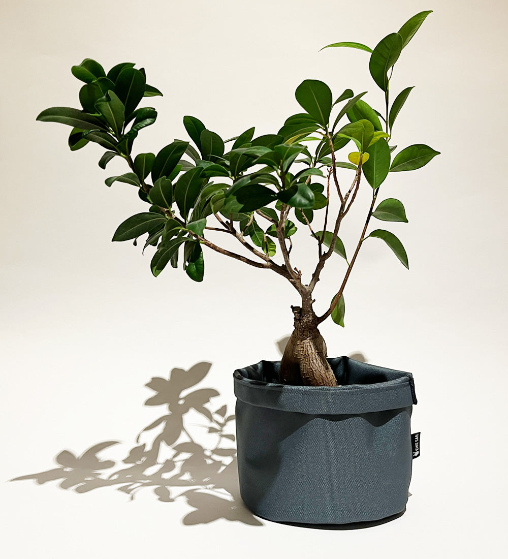 Blumenpötte im Doppelpack | Blaugrau