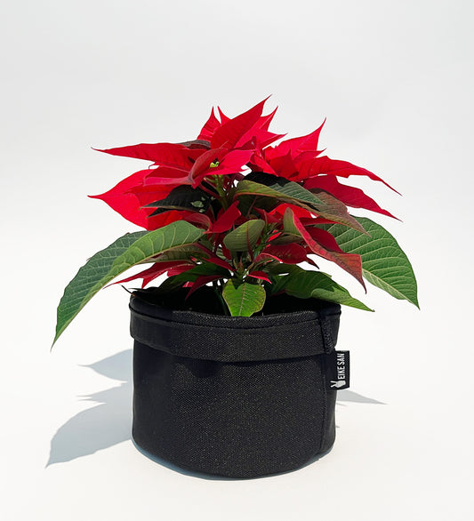 Blumenpötte im Doppelpack | Schwarz