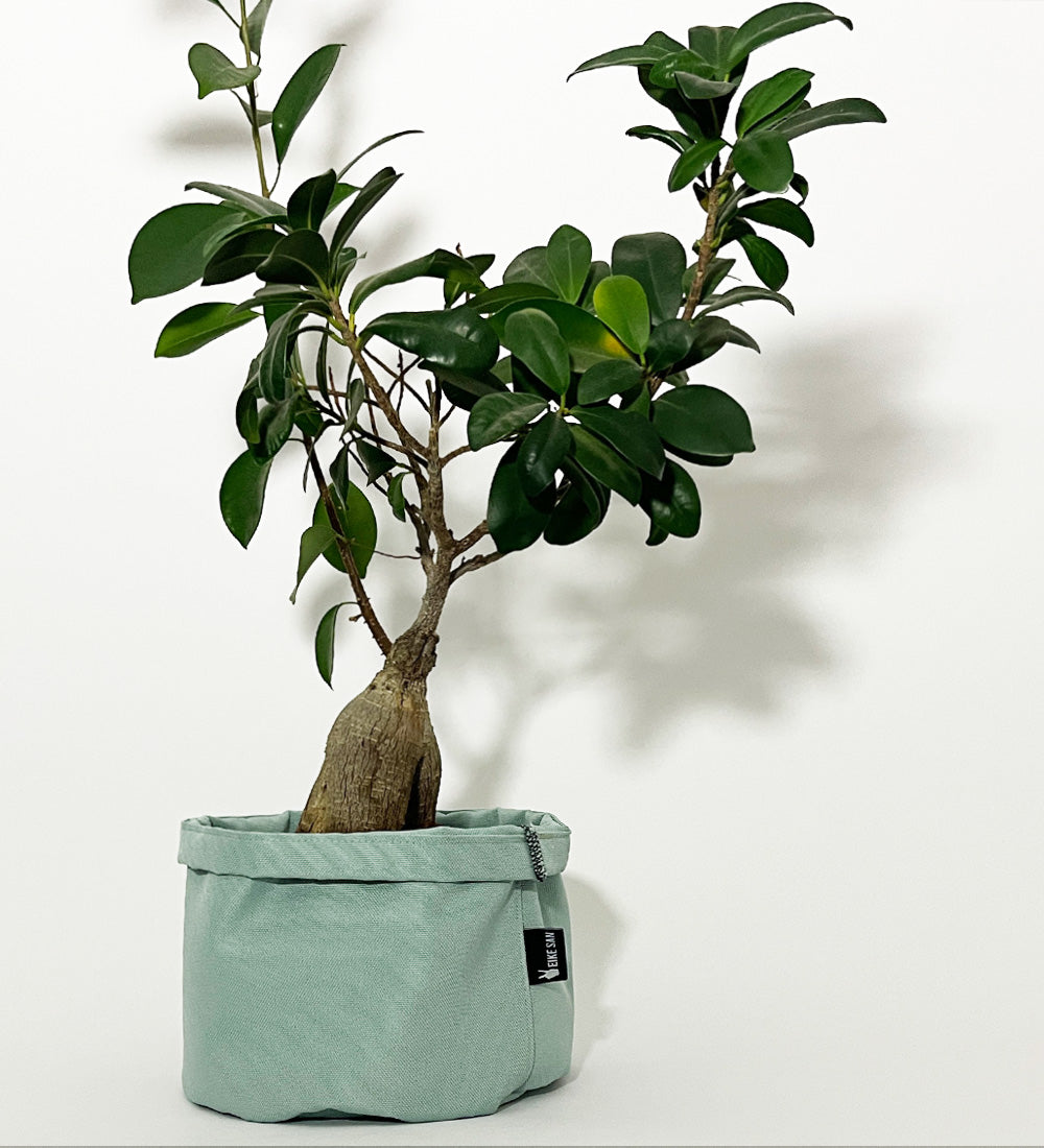 Blumenpötte im Doppelpack | Türkis
